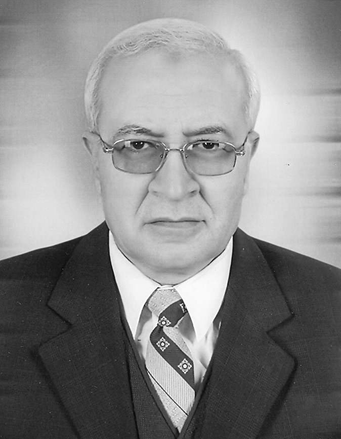 ElSayed ElKasaby